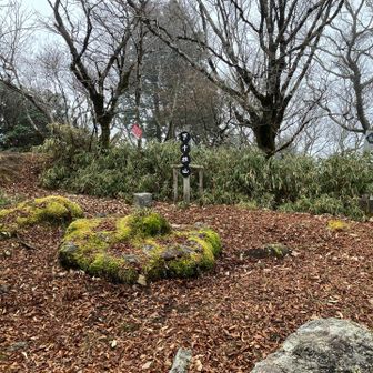 団子の看板は安倍奥共通なのかな〜