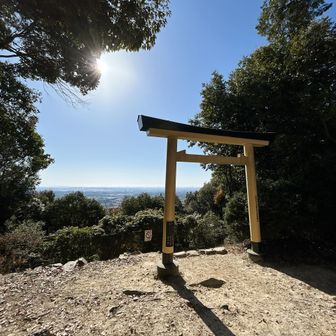 鳥居⛩️からの日差しが良い感じでした