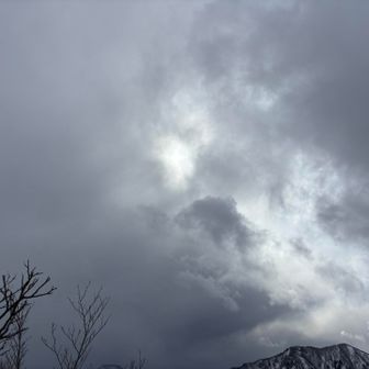 雪、降ってまいりましたわ
お天気は15時に崩れるって予報でしたけど、早いわよ！
