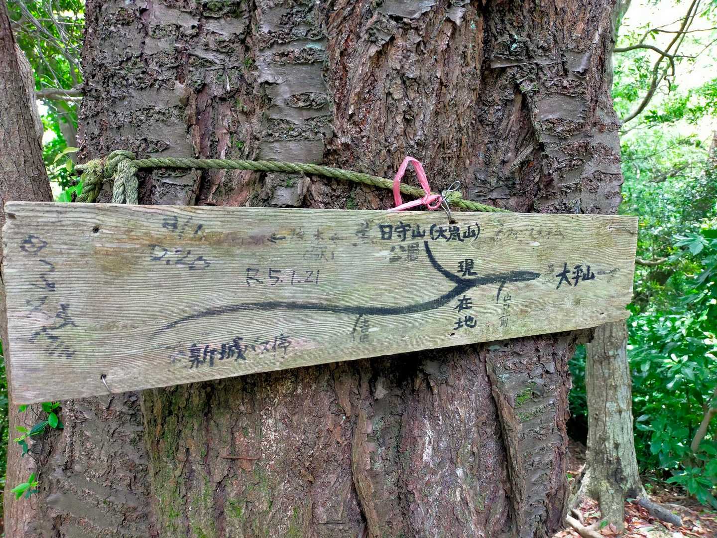 大嵐山-大平山 往復コースの写真