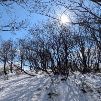 天気が良い感じになってきた
