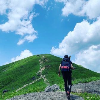 しらせにしらせ