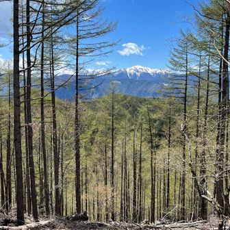 雄大なる赤石岳と悪沢岳。ペアで姿を見せてくれる。