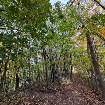 まもなく登山口