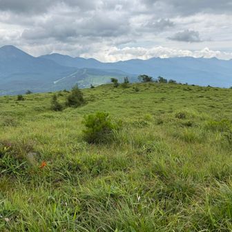 蓼科と八ヶ岳