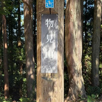 こちらも景色は見えないんですね