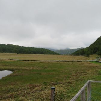 広大な池の平湿原