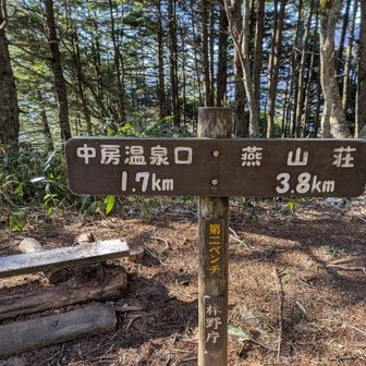 ベンチも凍っている