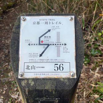 しまった💦55番ロスト