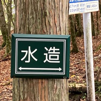 「水造」

ハーイ✋チャッピー君の出番です
チャッピーは、分からないってよ
もう少し、学習させなければ

それじゃGoogle先生お願いします🙇‍♀️
  
水源林造成事業（すいげんりんぞうせいじぎょう）」の略称です。この標識はそのエリアが国や専門の機関によって水を蓄えるための大切な森林として整備されている場所であることを示しています。

1つ偉くなってしまった✌️