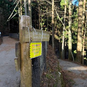 とととっと階段を降りてきまして
帰りも下まで歩くことになりました😊