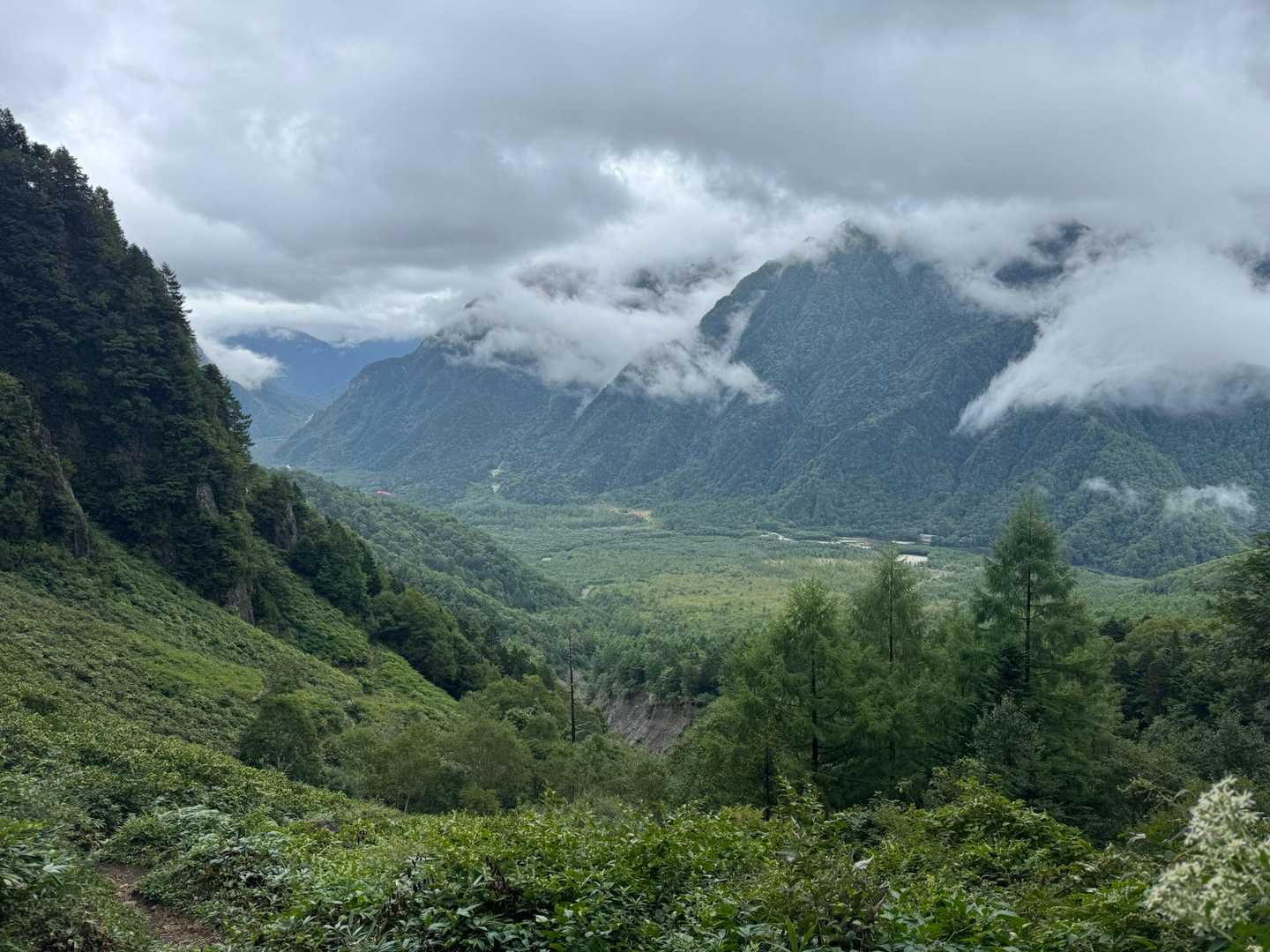 河童橋-新中尾峠-中尾峠-焼岳 往復コースの写真