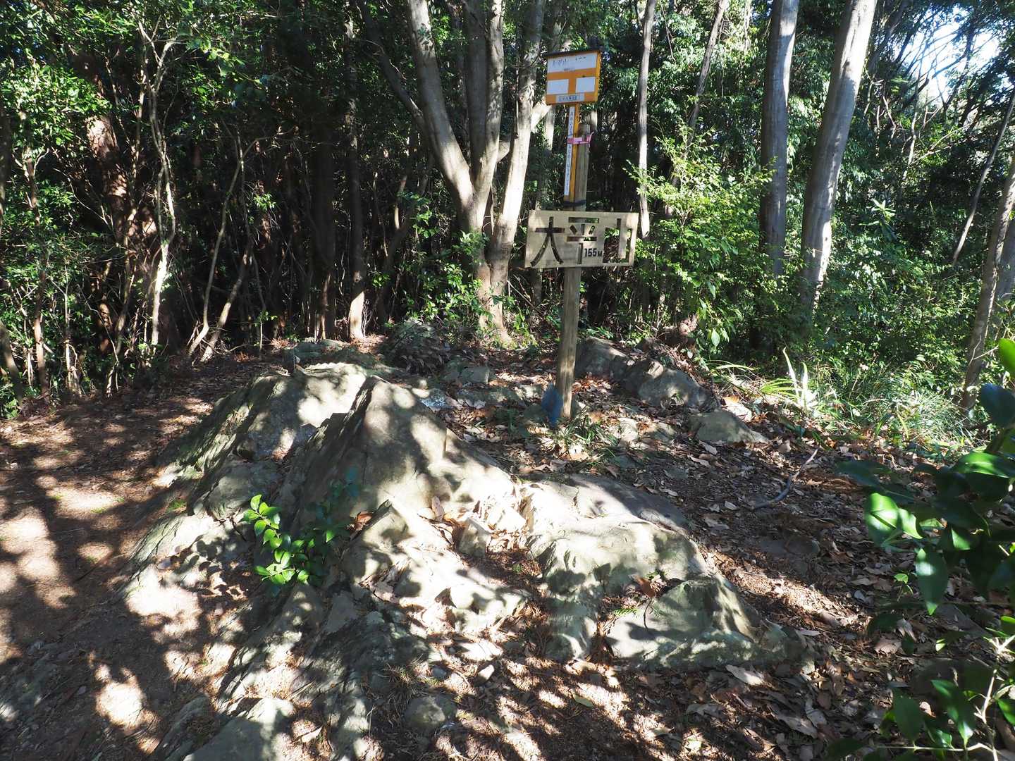 大平山の山頂
愛宕山から5分少々で2つ目のピークをゲット😅
展望はありません😥
