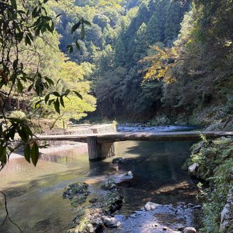 これこれ、沈下橋。美しい。