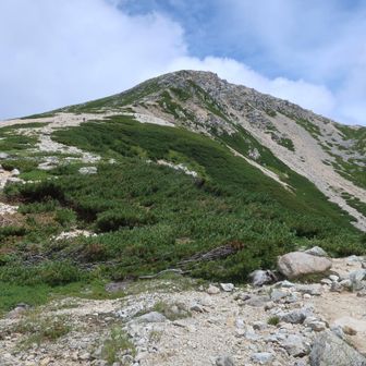 振り返って鷲羽岳