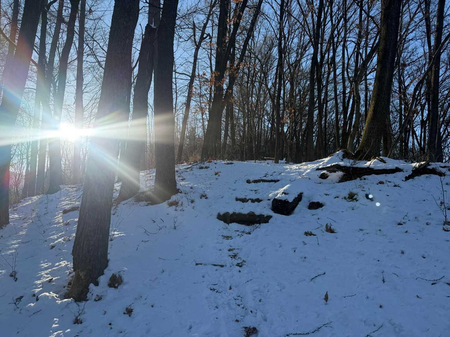 朝日が眩しい！
みどり湖PAで朝を迎えた時はマイナス10度だったけど、大分暖かくなって来た…気がする…
