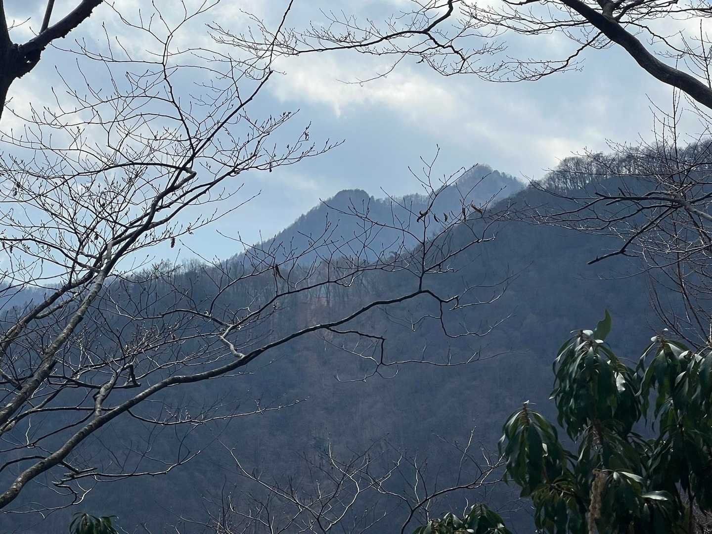 おっとー、本日初お目見えの三ツドッケ師匠😁
あ、三つ目のドッケが見えてないから、二ツドッケ師匠ですね🤣
