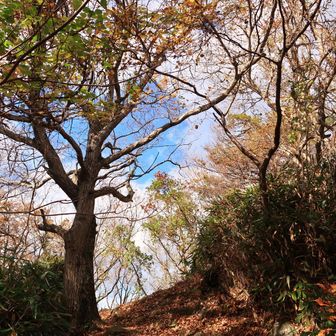エボシ岩まで行くが引き返す