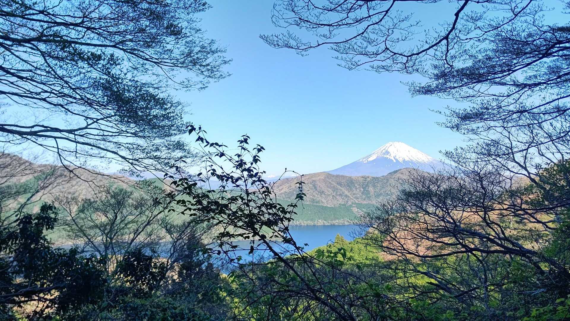 富士山🗻よし！