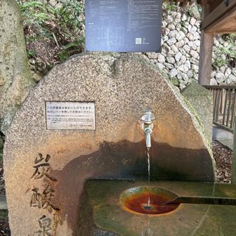 炭酸泉の源泉があるよと連れて行ってくれました
この前は枯れてたけど今日はどうかなと見に行ったら出てました🚰
飲めるとのことで飲んだら
はじめ酸っぱさ後口は鉄の味
不思議な感じだった
