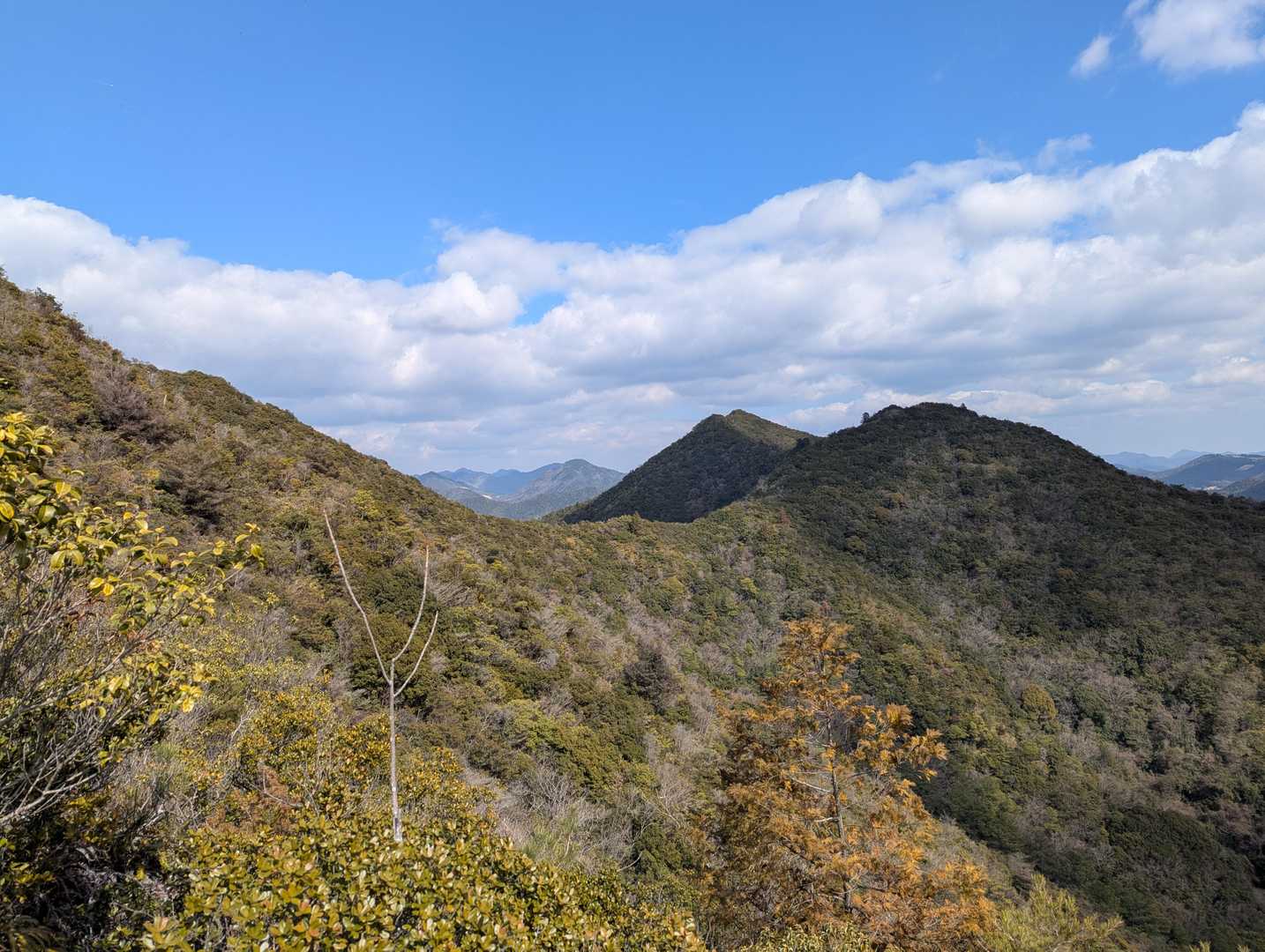 大坂山と背山。