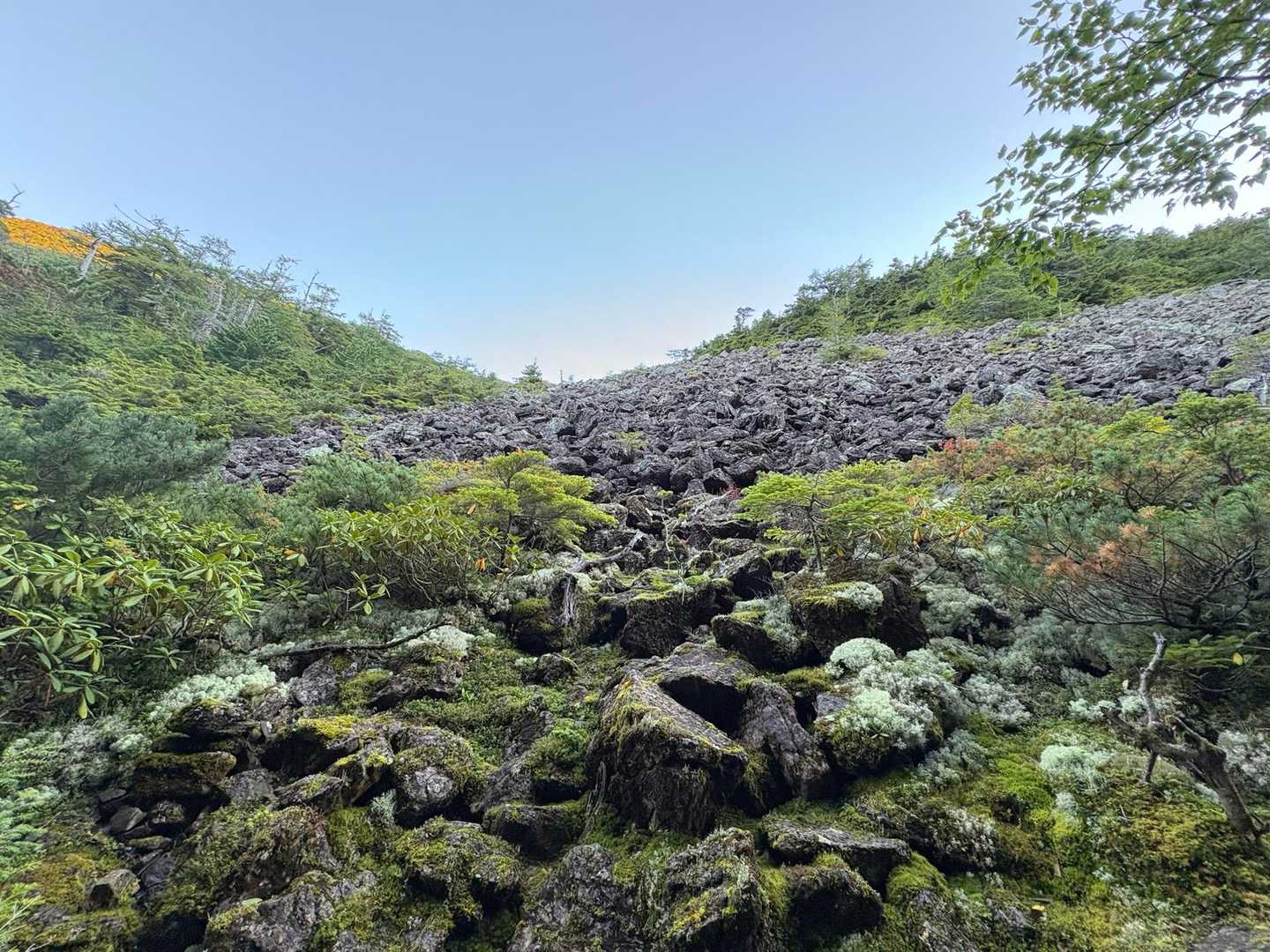 八ヶ岳感🪨