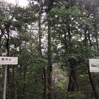 地形図の通り目立ったアップダウンはほとんどなく鉢伏山到着🏁雨が降ってなければ超楽勝です✌️
案内板には戦国時代砦が築かれていたとの説明書きが。なになに…長連龍と温井景隆が争った際に築かれた砦とな
先日訪れた七尾城にあった解説によれば長氏と温井氏はどちらも元・能登畠山氏の重臣
七尾城落城時の事案をきっかけに両者は不倶戴天の敵同士になったようです🤔
最終的に元和偃武まで生き残ったのは生涯41回もの合戦に参戦したという長連龍のほう🧐まさに猛将ですね