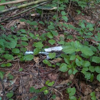 盗掘用の移植ゴテかな？🤔
落ちてますよ～
ストックも落ちてるんだろうなぁー😢金曜日また行こうかな…