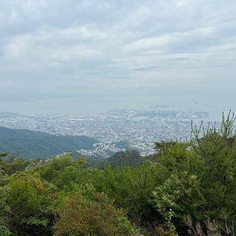 曇ってるけど眺望は抜群！