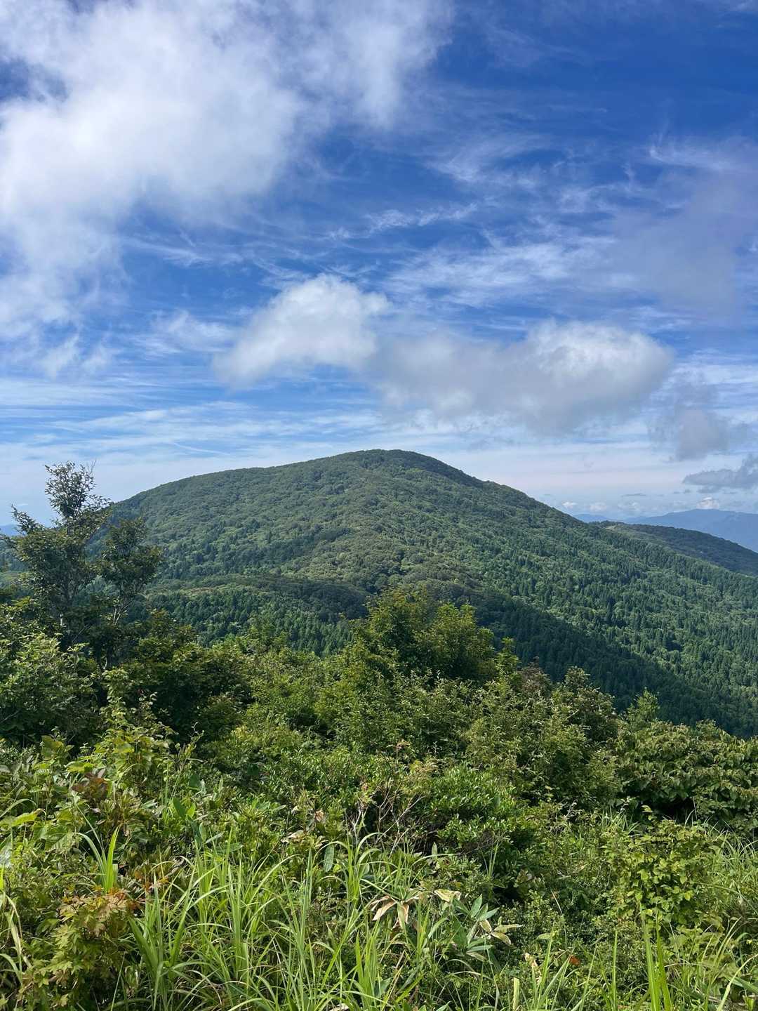 高杉山
