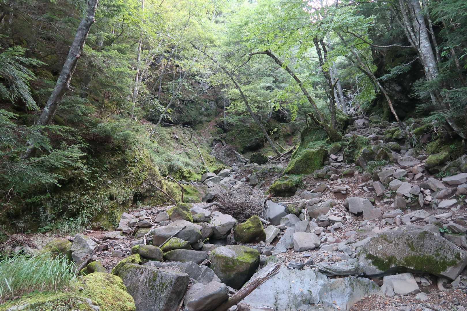 登山道がどこなのか💦道に迷う所が多かったですが～行き着く先は同じ場所。細かい道が沢山ありました😙
