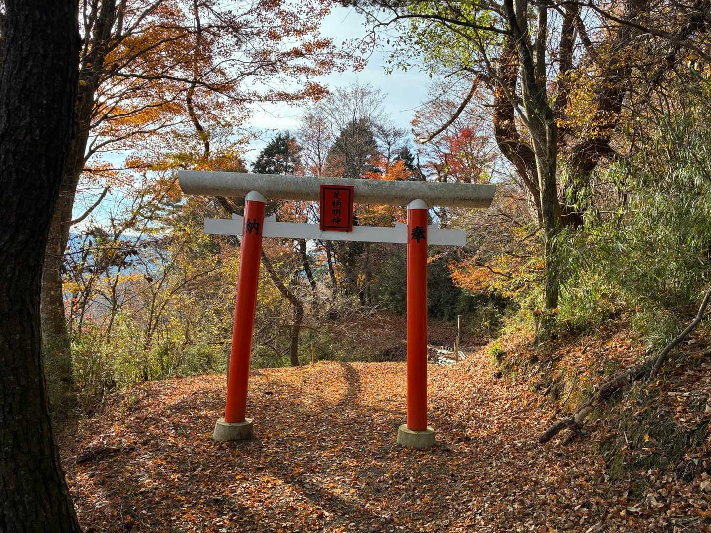 ちょっと寄り道ー⛩️