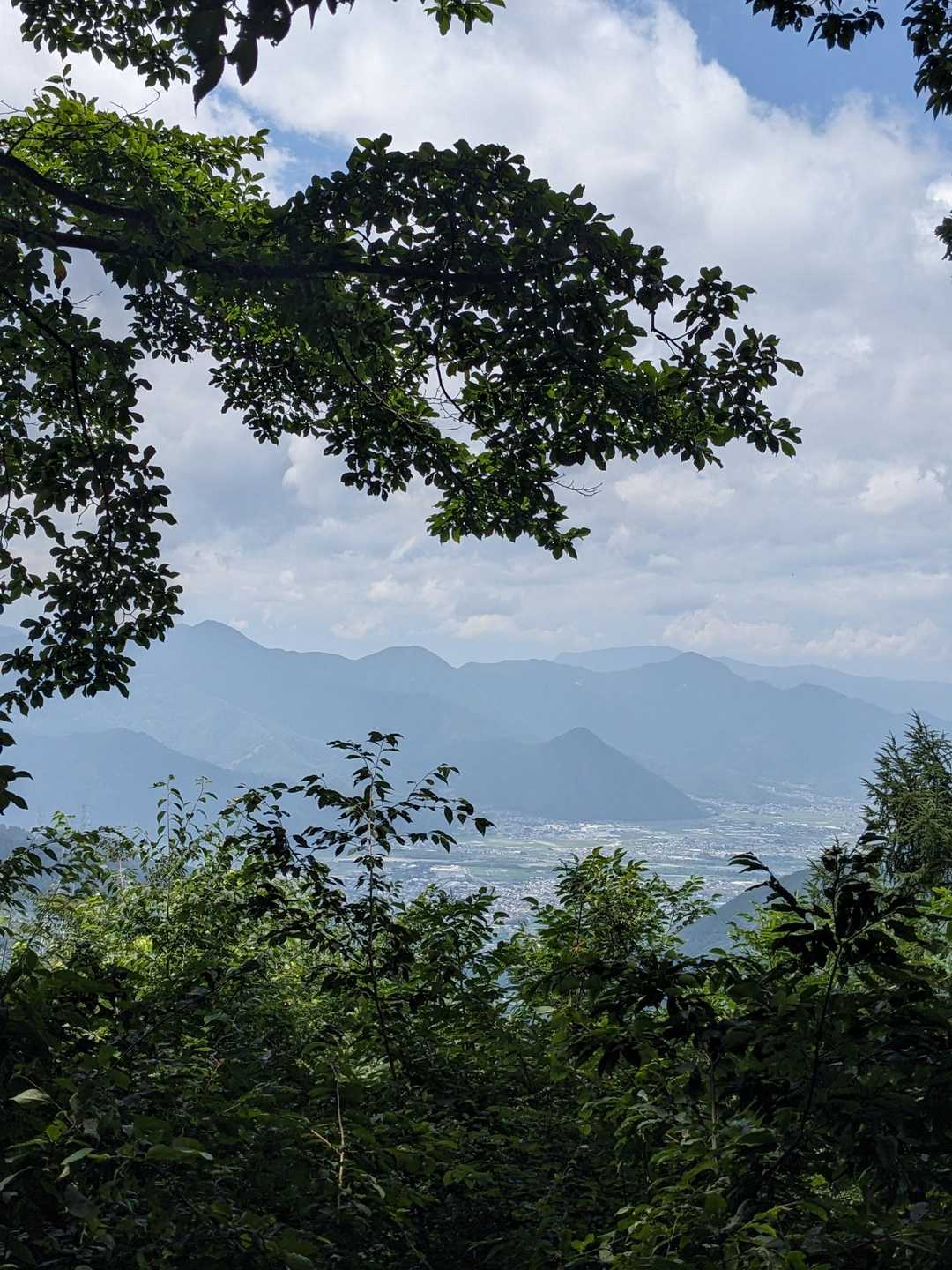 表参道登山口-太郎山-裏参道登山口 縦走コースの写真