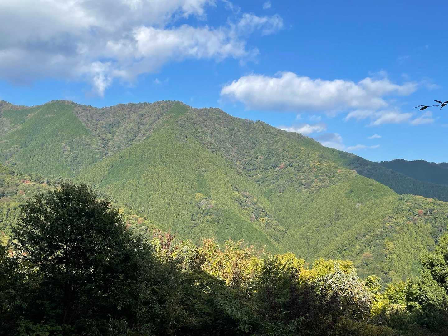 明るい空ですが、今日は富士山見れず