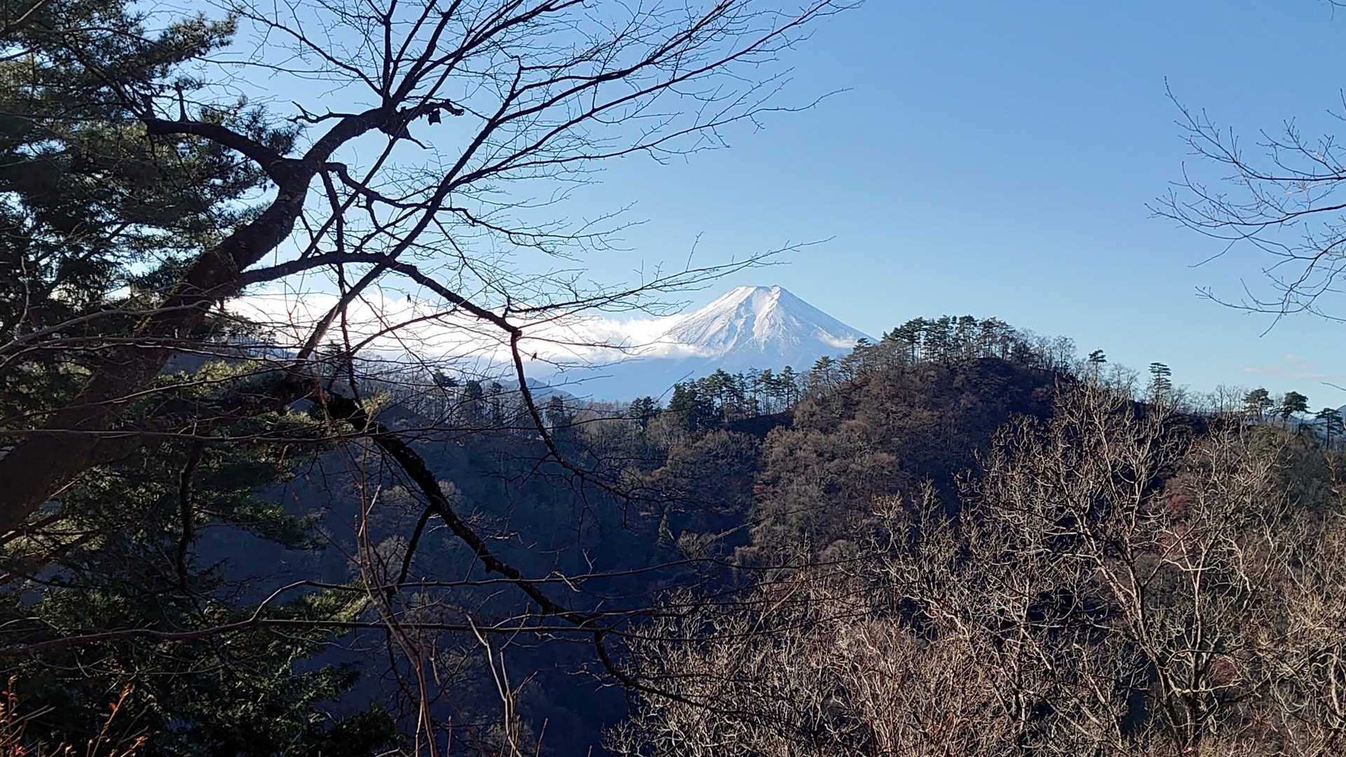 富士山見えた！