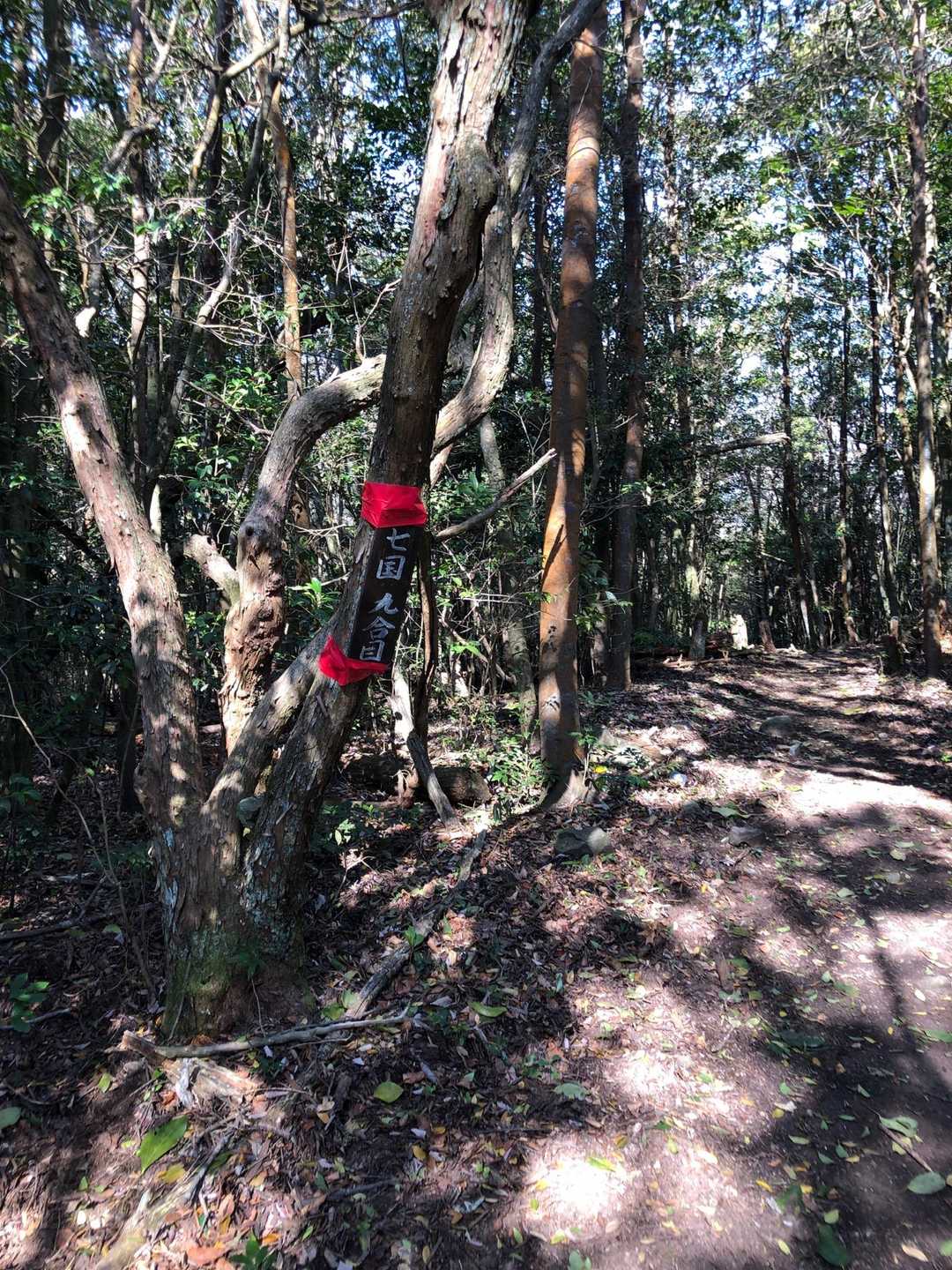 七国見山登山口-七国見山-七国見山登り口-奥山-取り付き 往復コースの写真