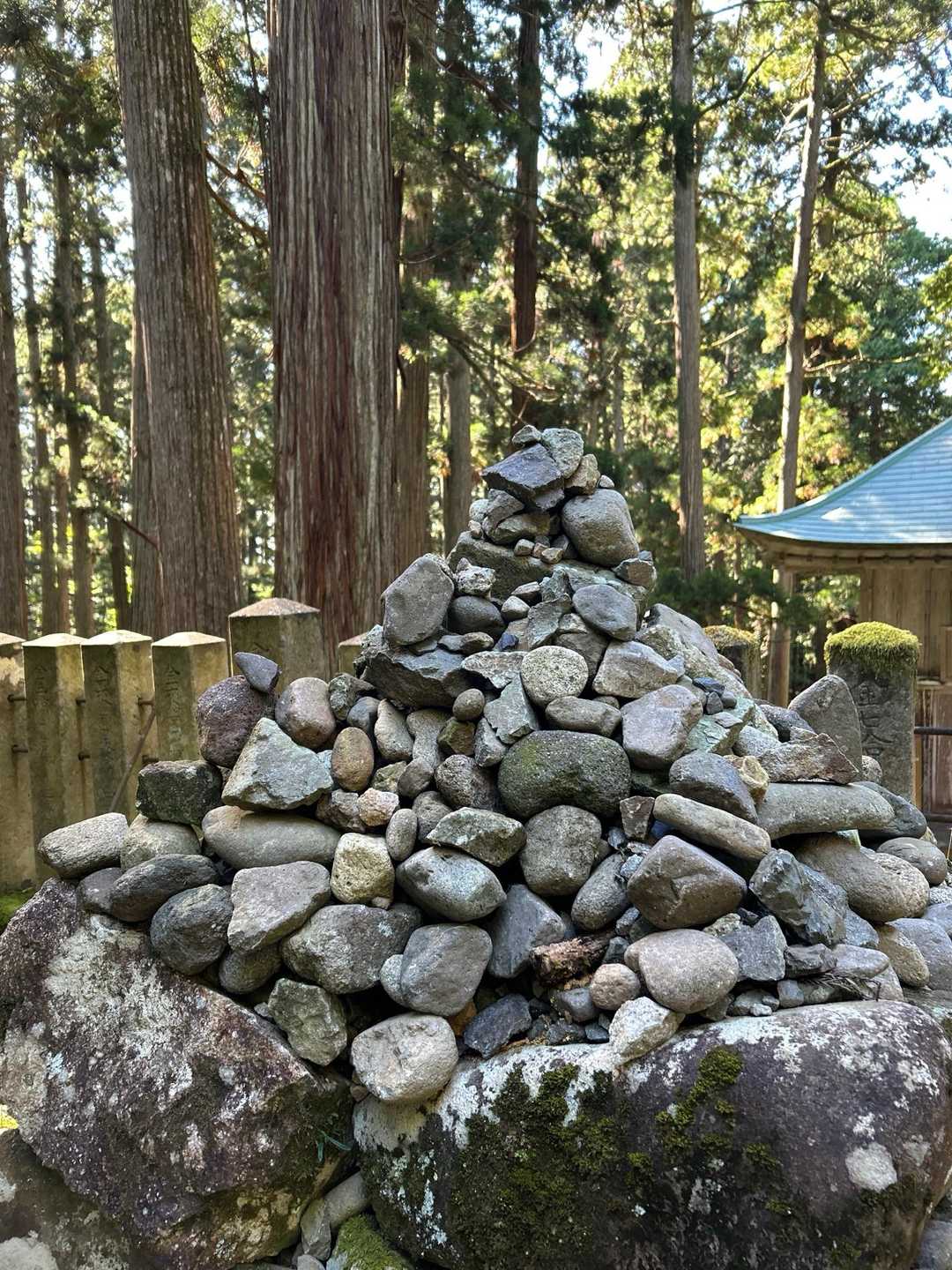 これってケルン・・・🧐