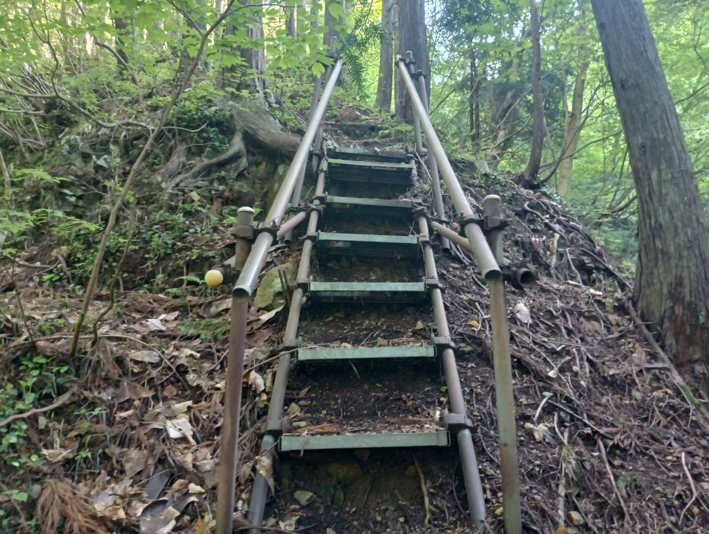 単管足場の階段を🚶