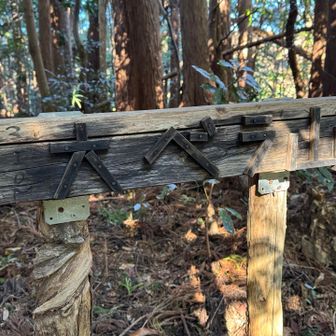 ここから高草山へ。
途中の大ベラ山。