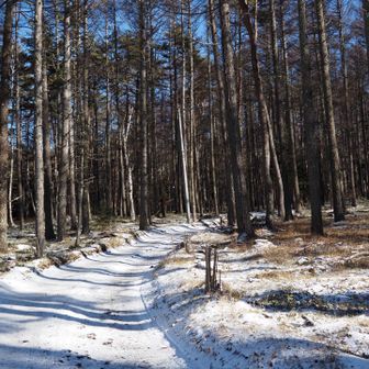 ここら辺はチェンスパ無しでも大丈夫。