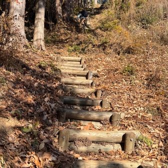 ここが1番急でした