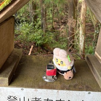 ふなやまは7293番目なっし♪