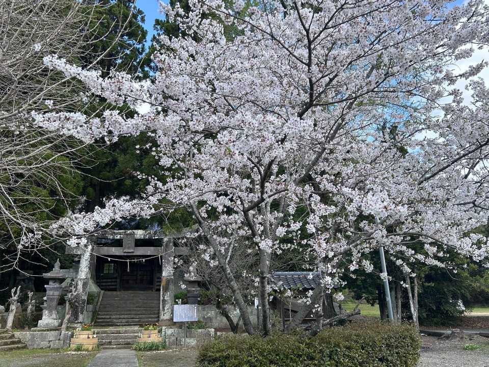 熊本市内の自宅から山鹿市方面へ行く際の抜 / yasuさんのモーメント
