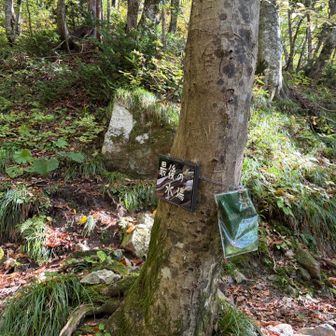 最後の水場で少し休憩
暑いし