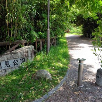 せっかくなので、足を延ばして志賀島の潮見公園へ　駐車場から展望台へ向います