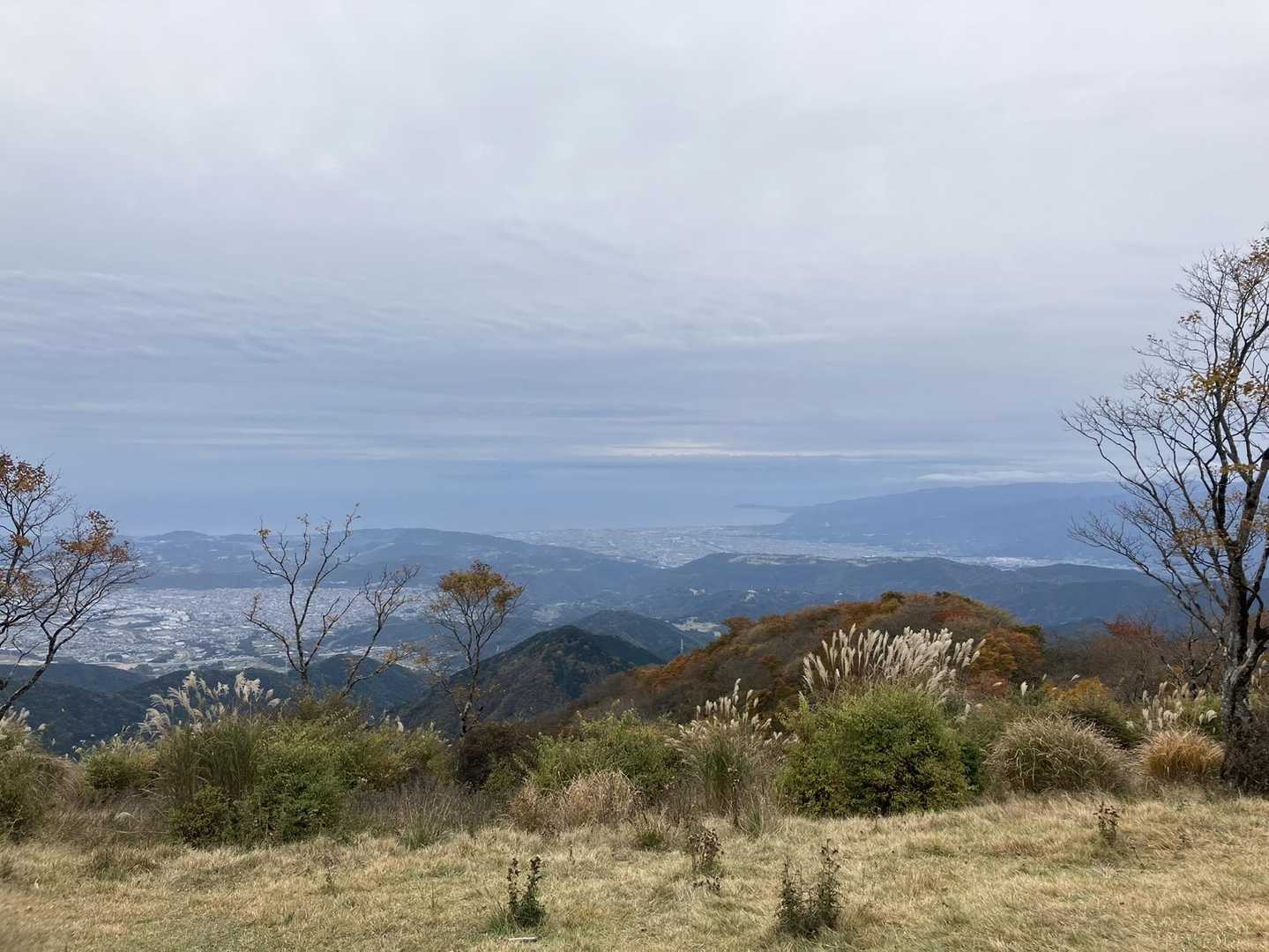 後沢乗越-鍋割山 往復コースの写真