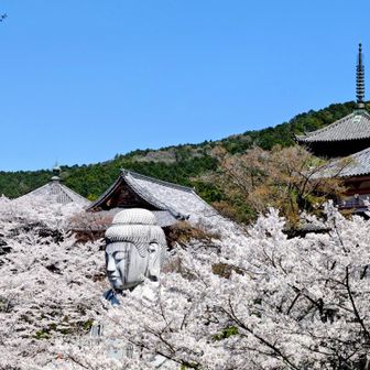 🌸のお布団を着ているみたいにも見える…😄