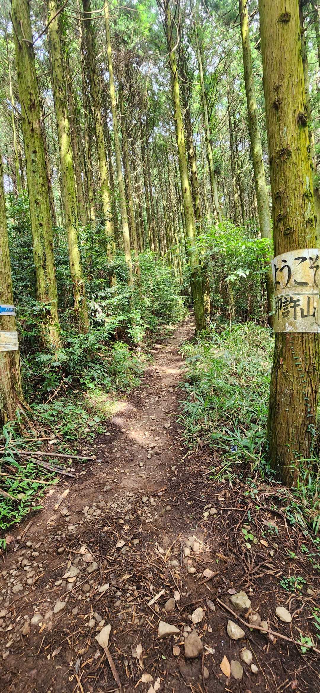 御許山-雲ヶ岳 周回コースの写真