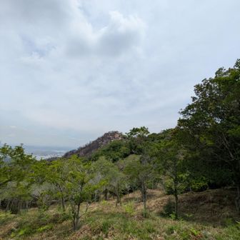 「植樹の森」まで　下りてきた