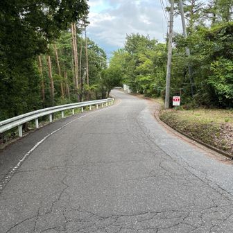 下の途中のまで車道を歩きます🚶‍♀️